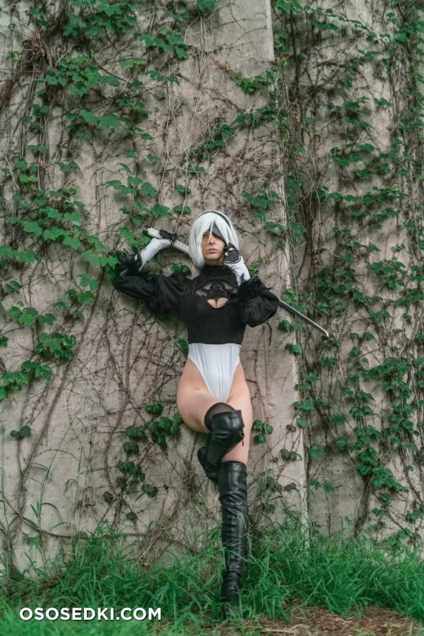 Fassfy. 2B. Nier Automata - 4