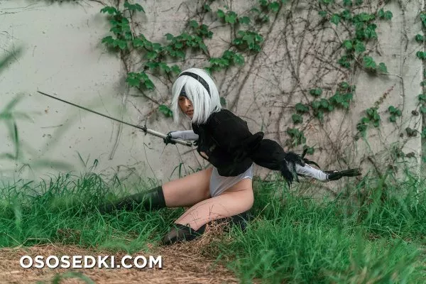 Fassfy. 2B. Nier Automata - 8