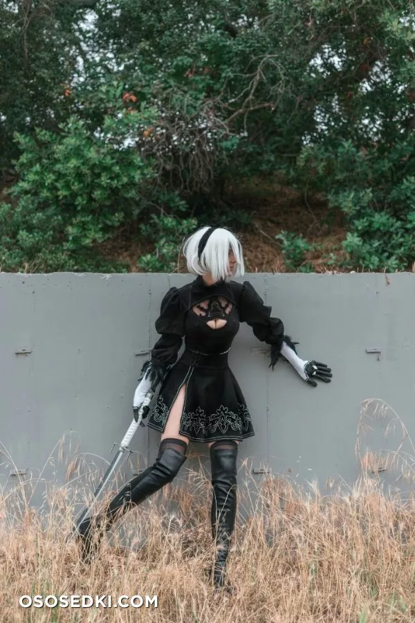 Fassfy. 2B. Nier Automata - 12