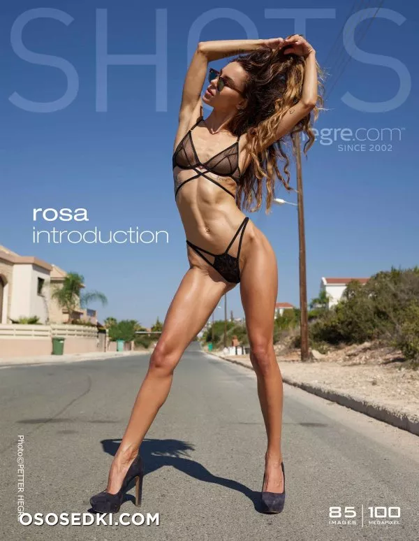 Rosa - 85