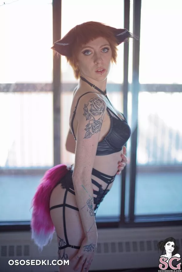Lilfoxgypsyy - 144