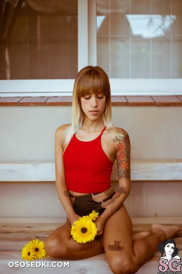 Karenia - 1