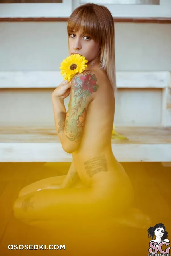 Karenia - 35