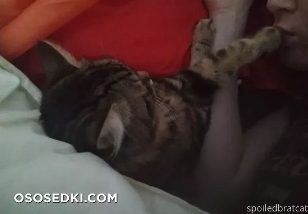 SpoiledBratCat - 228