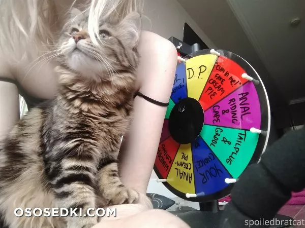 SpoiledBratCat - 246