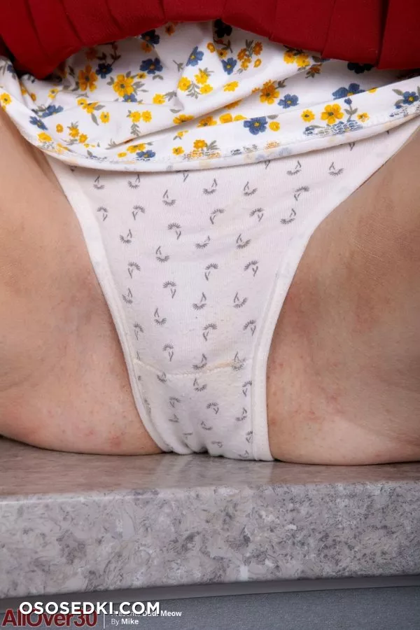 Dadi Meow - 10