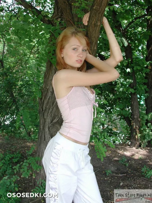 Ansel - 115