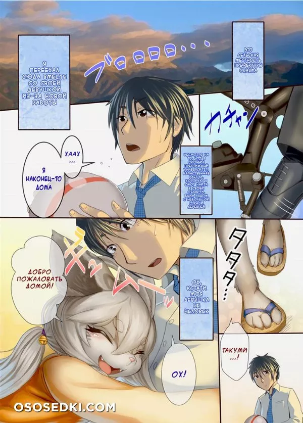 Uchi no Yome ni wa Shippo ga Atte - 1