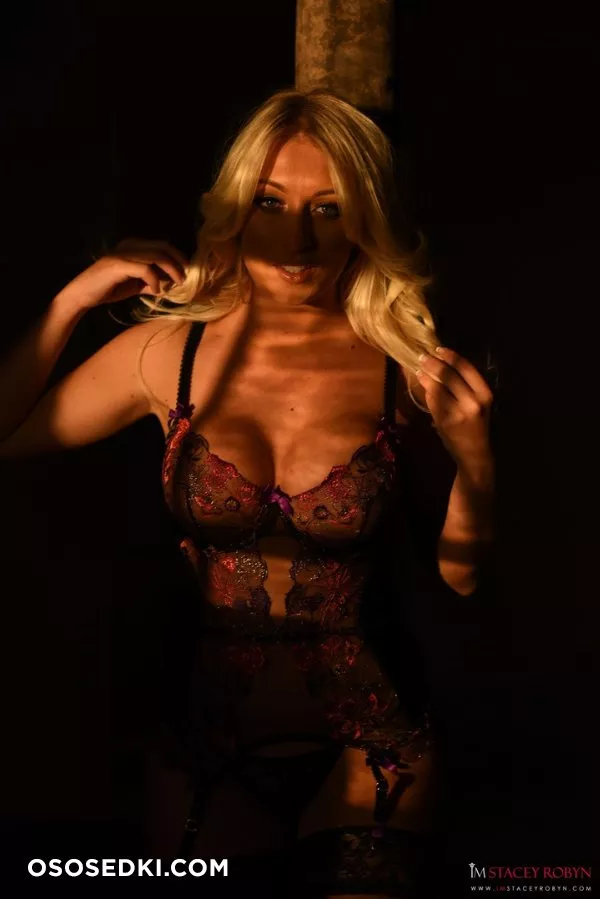 Stacey in sexy lingerie & stockings - 2