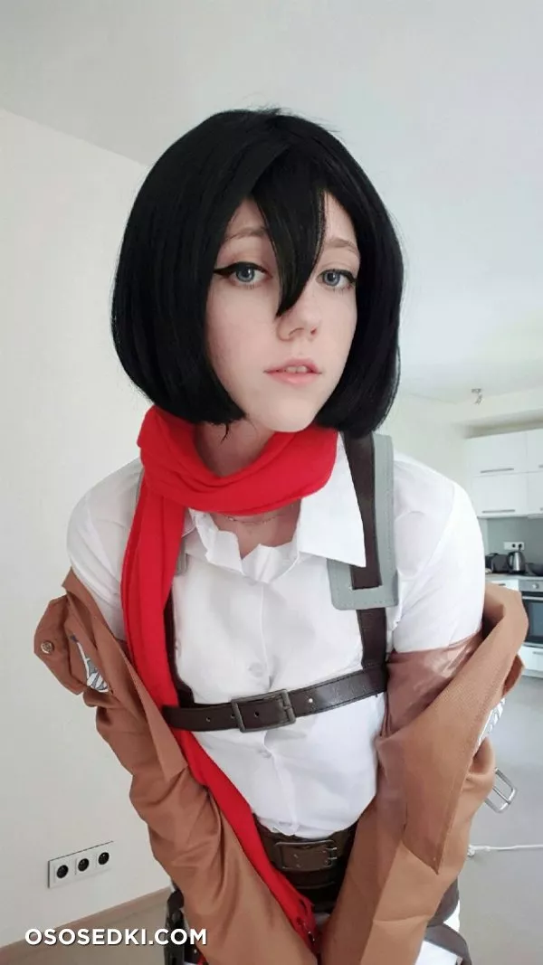 Mikasa (Attack on Titan) Elles - 14