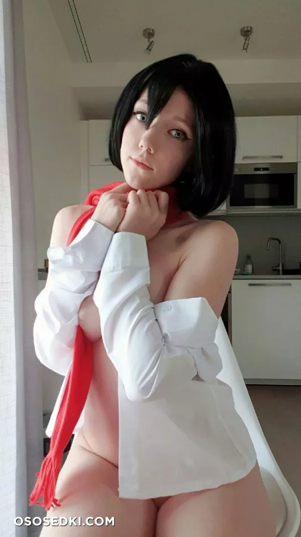 Mikasa (Attack on Titan) Elles - 102