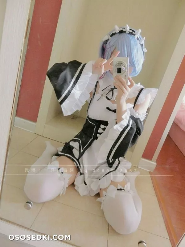 Rem (Re :Zero) 一只 肉酱 阿 - 1