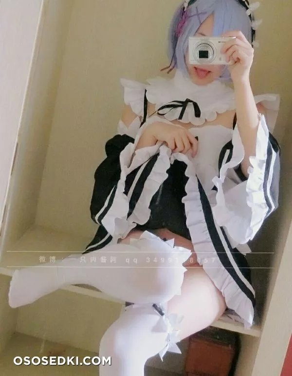 Rem (Re :Zero) 一只 肉酱 阿 - 16