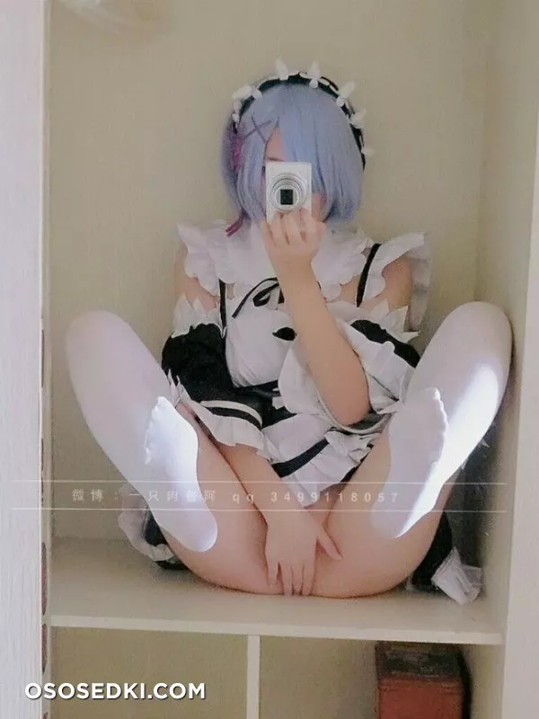 Rem (Re :Zero) 一只 肉酱 阿 - 17