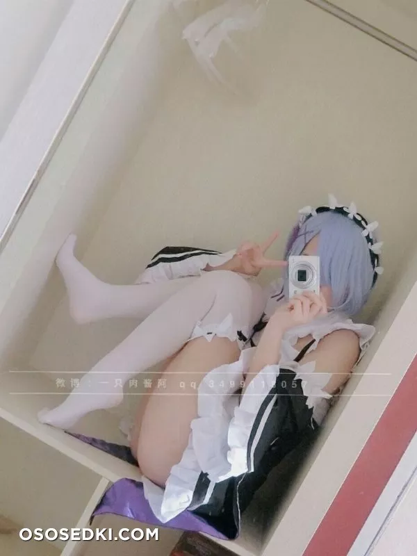Rem (Re :Zero) 一只 肉酱 阿 - 18