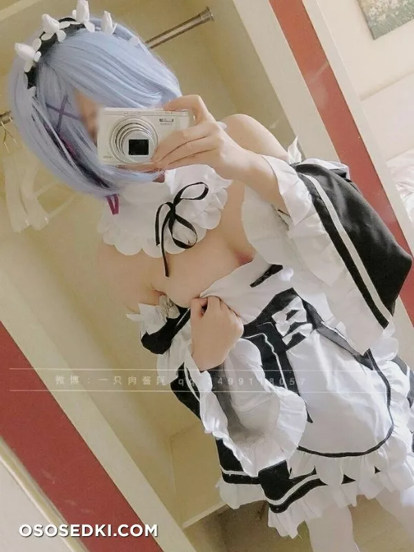 Rem (Re :Zero) 一只 肉酱 阿 - 25