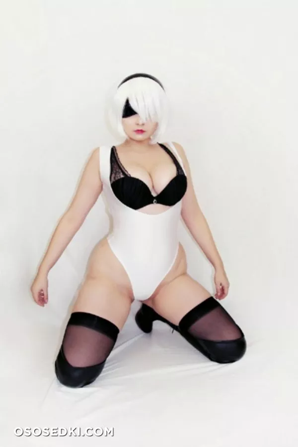 2B (Nier Automata) Hidori Rose  - 10
