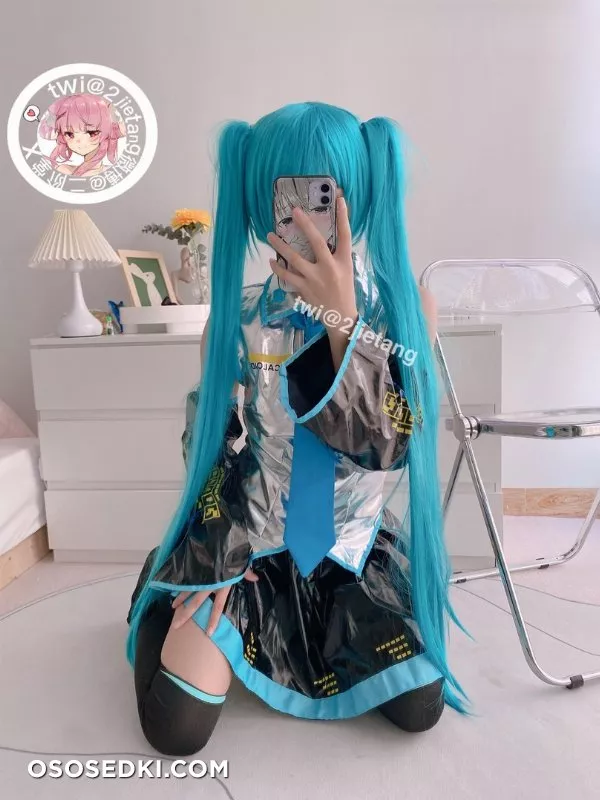 Hatsune Miku (Vocaloid) - 二阶堂 - 14