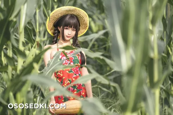 蠢沫沫-苞米地的故事 - 14