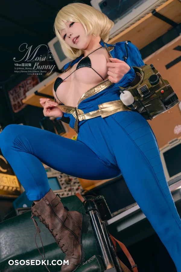 Vault Dweller (Fallout) - Yaokoututu 咬人小小兔 - 41