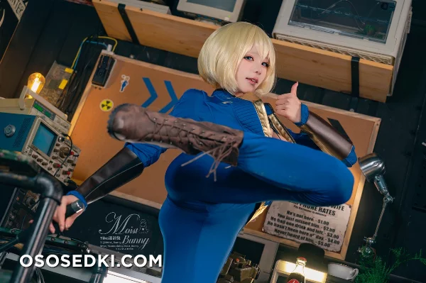 Vault Dweller (Fallout) - Yaokoututu 咬人小小兔 - 48