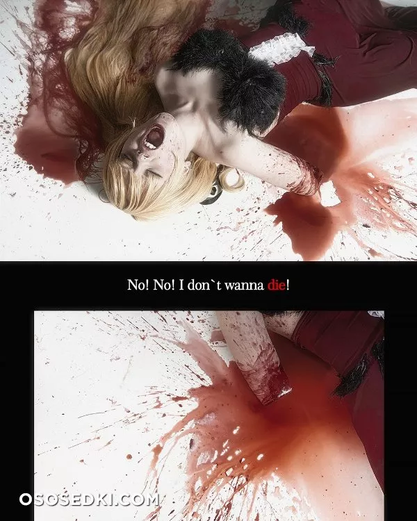[ Monogatari Series ] - 16