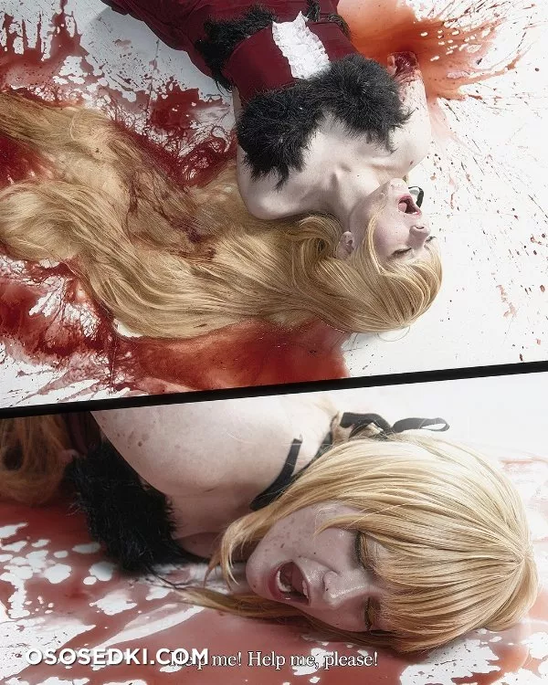 [ Monogatari Series ] - 17