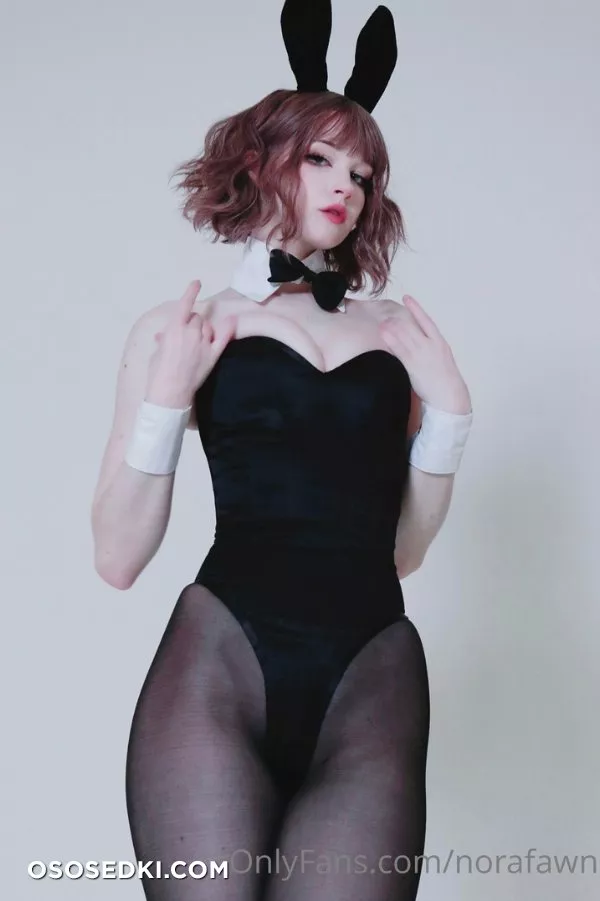Norafawn - Birthday Bunny - 1
