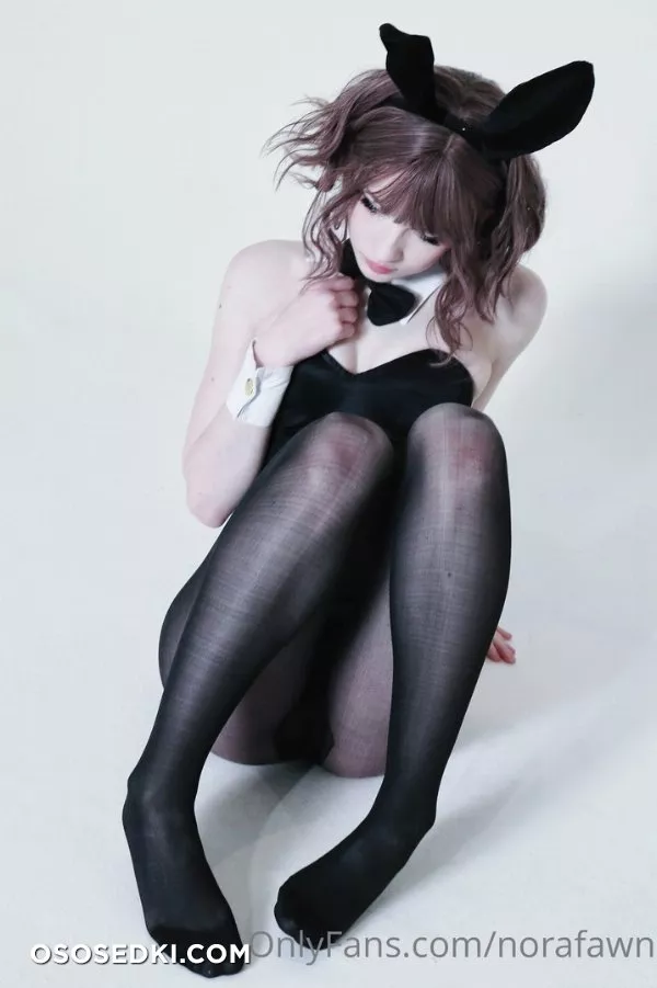 Norafawn - Birthday Bunny - 10