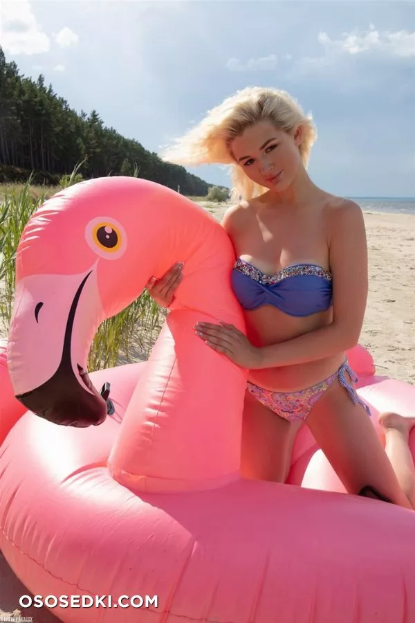 Kenia - Summer Bird - ShowyBeauty - 7