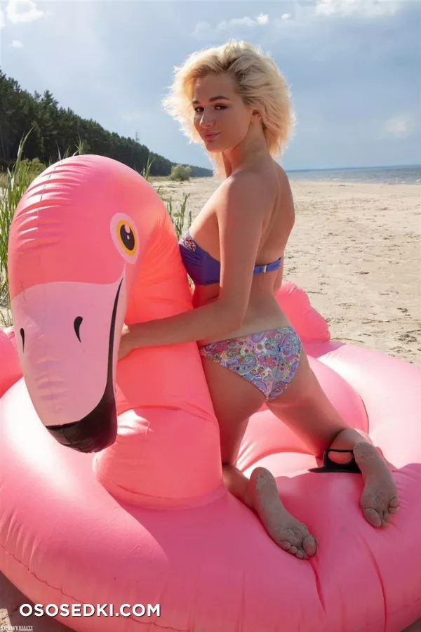 Kenia - Summer Bird - ShowyBeauty - 8
