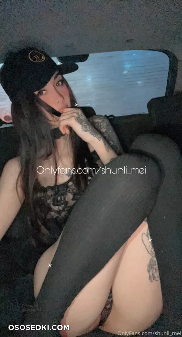 (Onlyfans - shunli_mei) Shunli Mei - 213