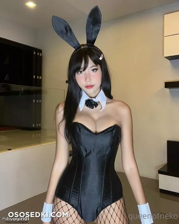 (Onlyfans - queenofneko) QueenofNeko - 232
