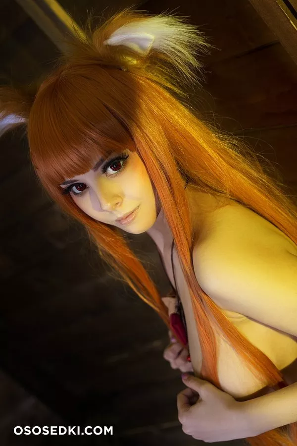 Disharmonica - Fox - 3