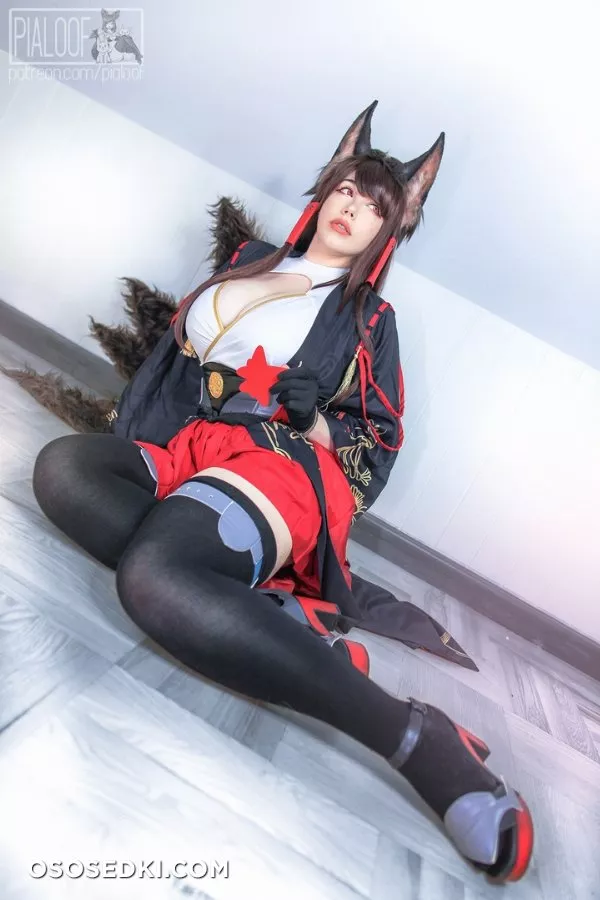 Pialoof - Akagi - 1