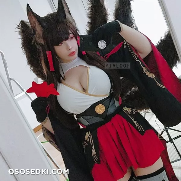 Pialoof - Akagi - 17