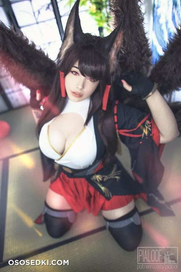 Pialoof - Akagi - 26