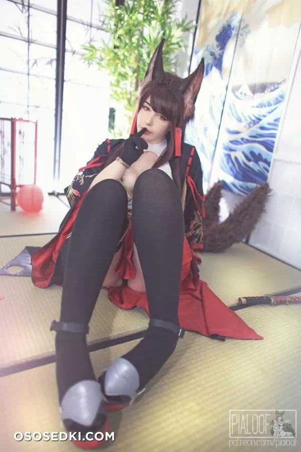 Pialoof - Akagi - 30