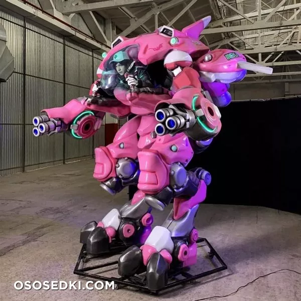 Irina Meier | D.Va - 6