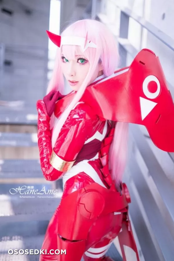 Hane Ame | Zero Two - 16