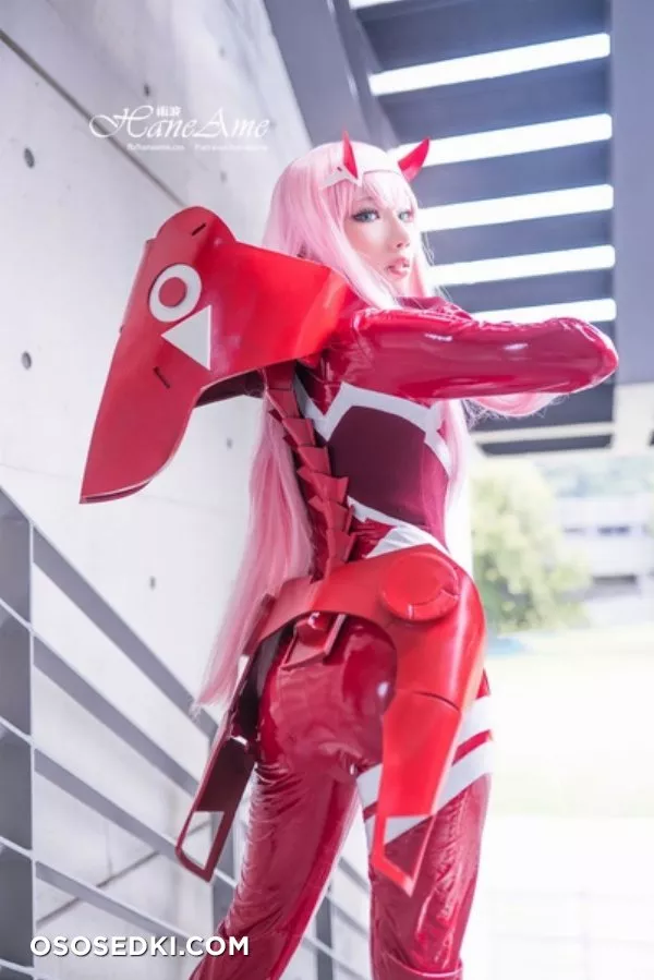 Hane Ame | Zero Two - 23