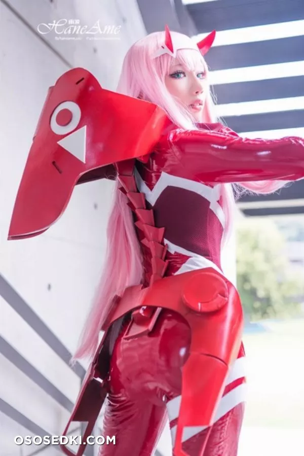 Hane Ame | Zero Two - 24