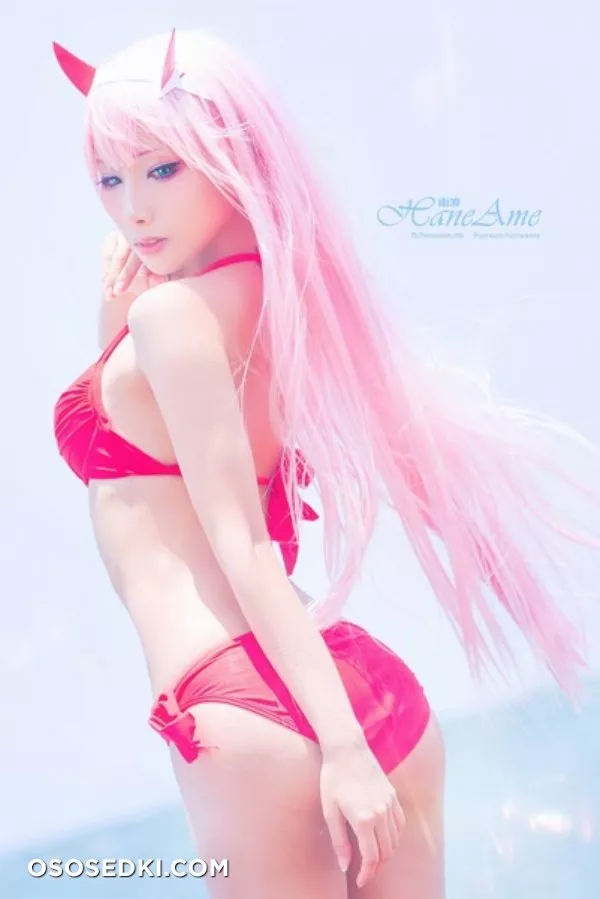 Hane Ame | Zero Two - 28