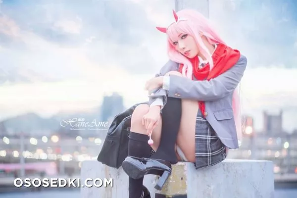 Hane Ame | Zero Two - 64
