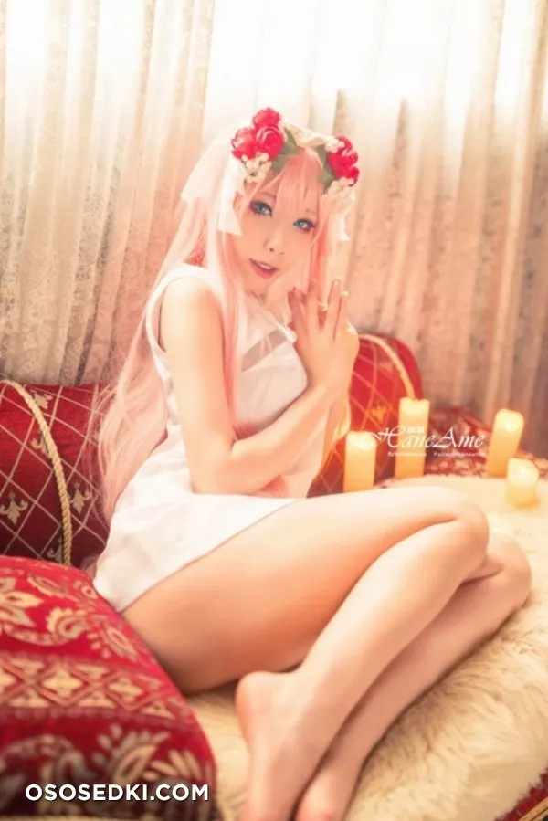 Hane Ame | Zero Two - 84