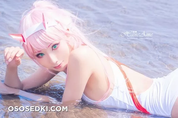 Hane Ame | Zero Two - 95