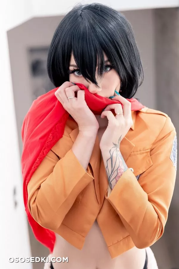 Fay Suicide | Mikasa - 8