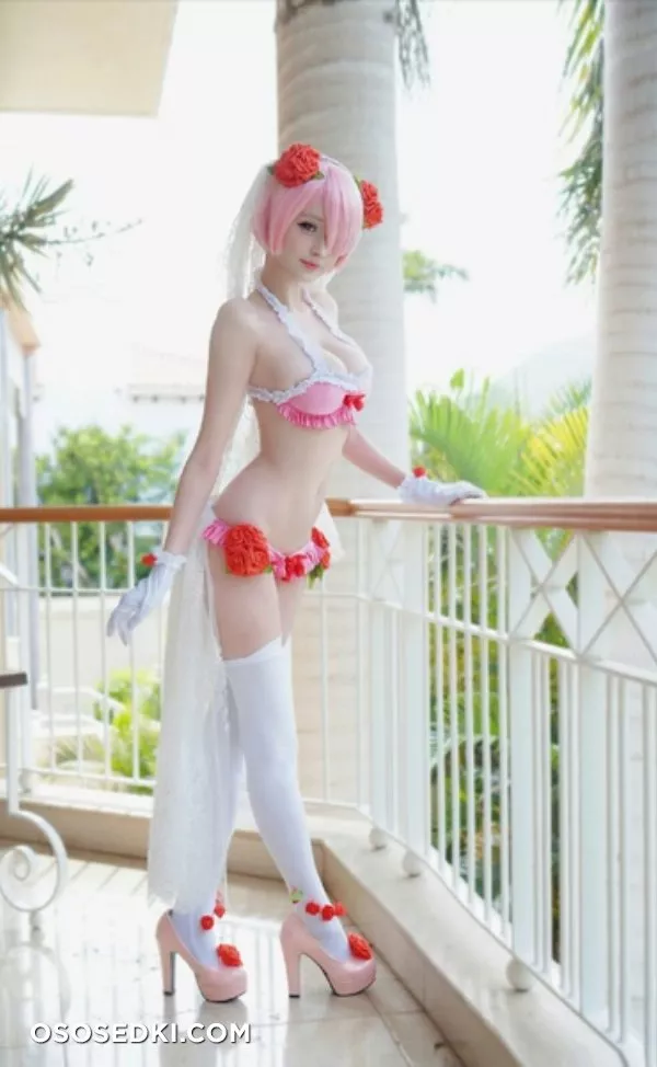 Hidori Rose | Ram - 8
