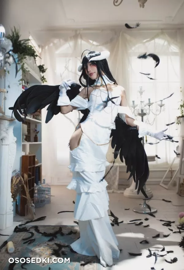 Aqua | Albedo - 10
