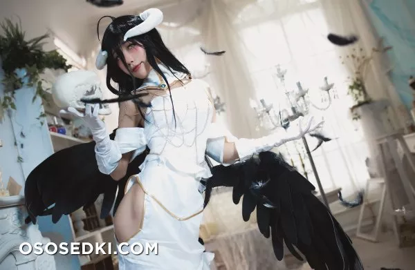 Aqua | Albedo - 12